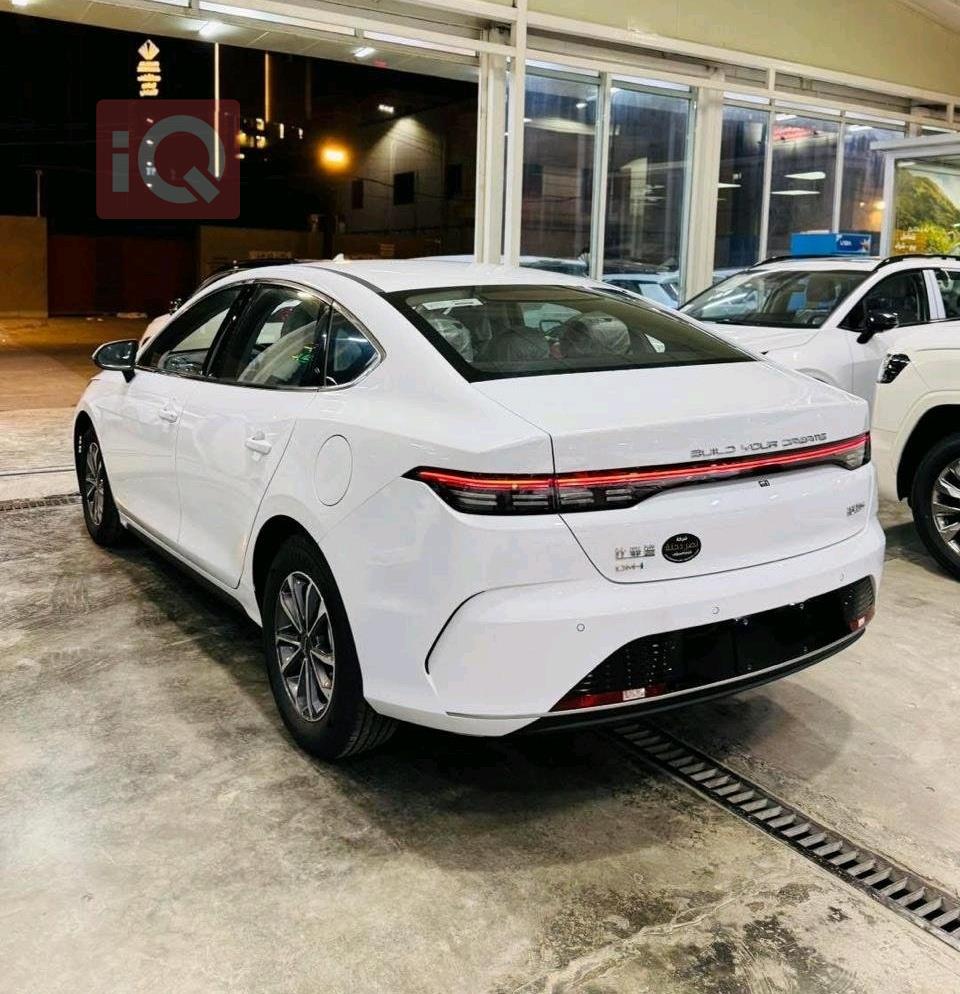 بي واي دي ديستروير 05